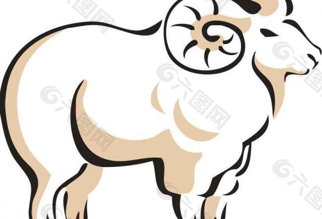 cashmere绵羊图片