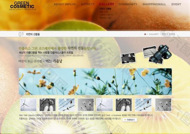 韩文网页图片