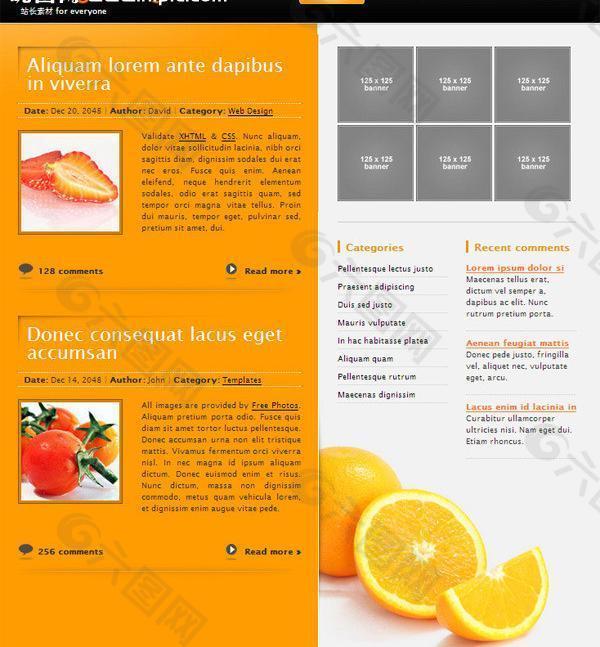 橙色的博客网页模板图片