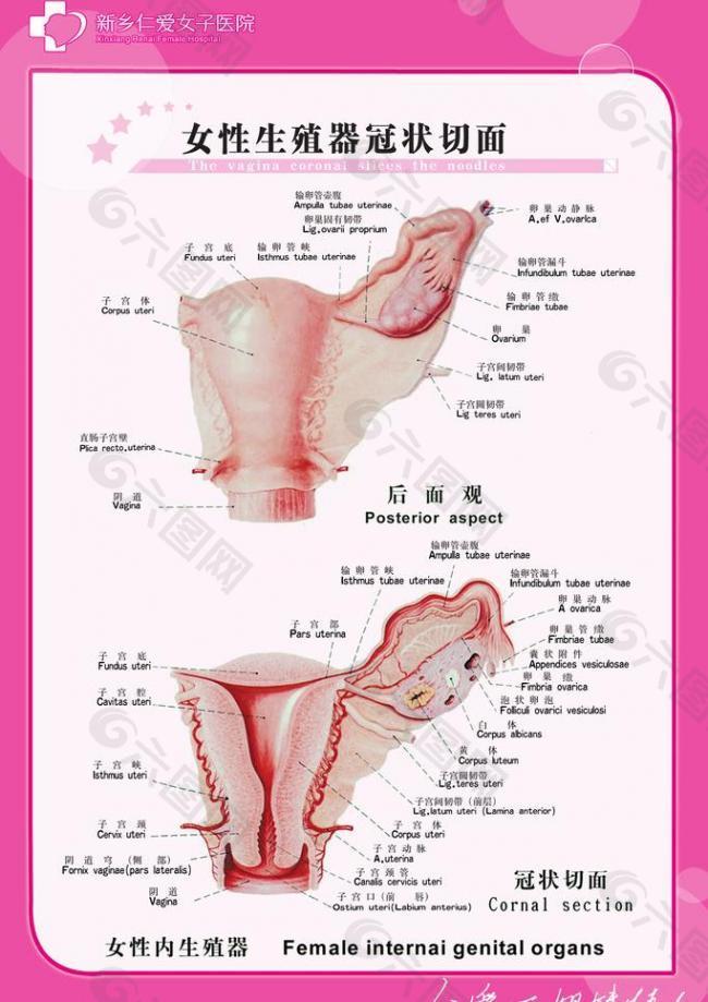 女子医院图片