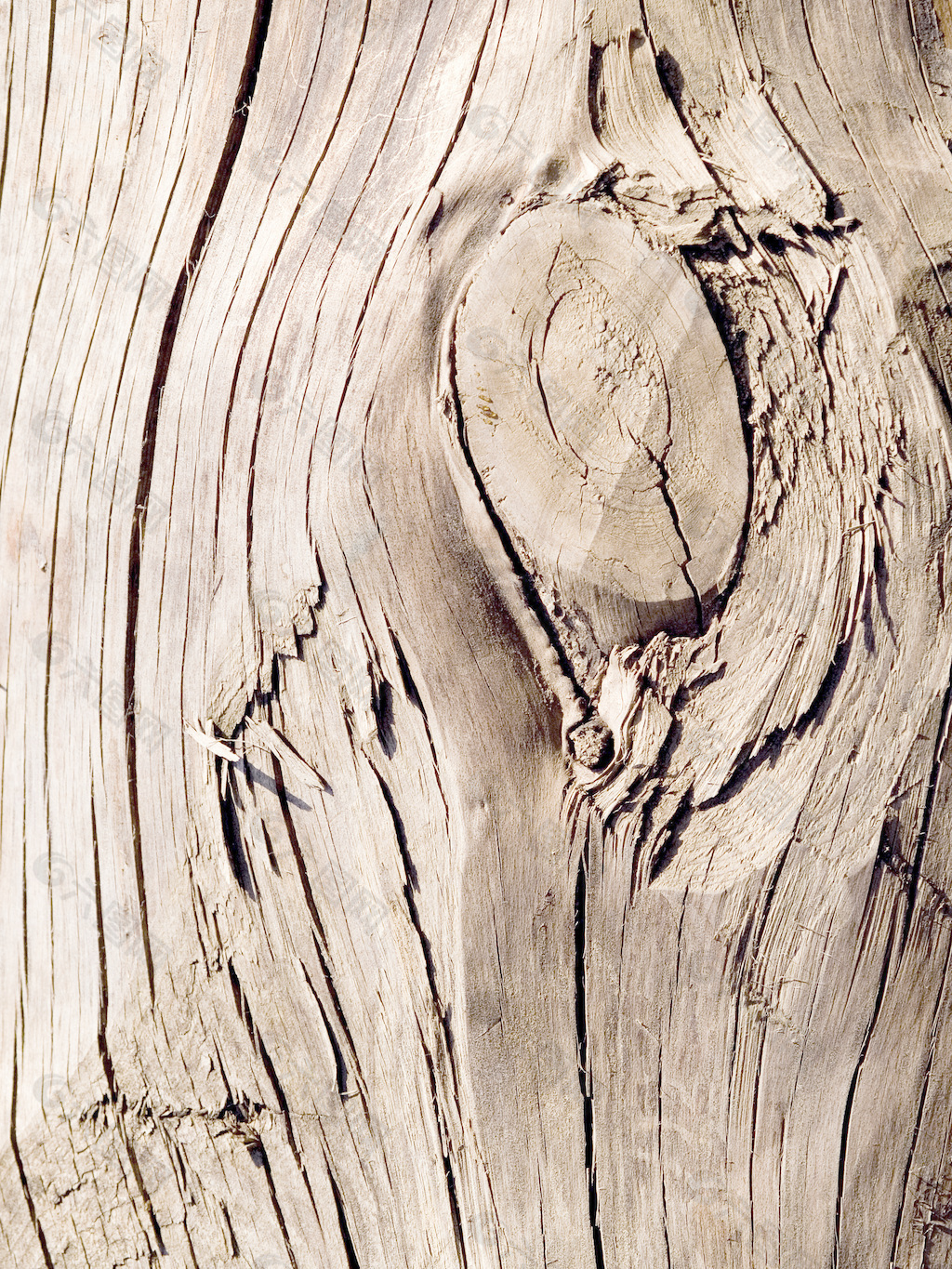 老木头纹理（背景）