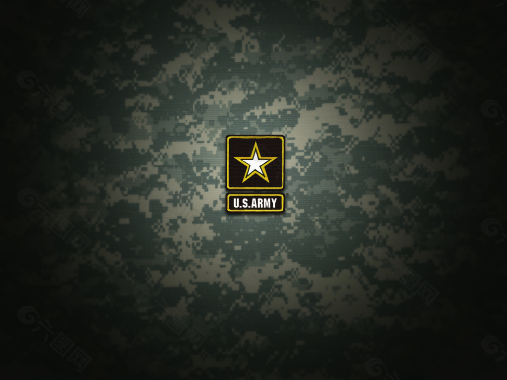 US.army  标志