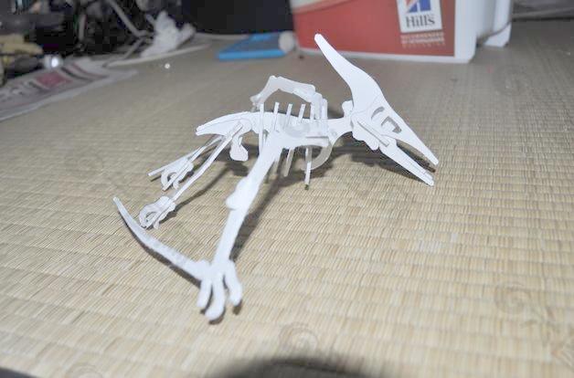 pterodactilus 3D拼图，恐龙