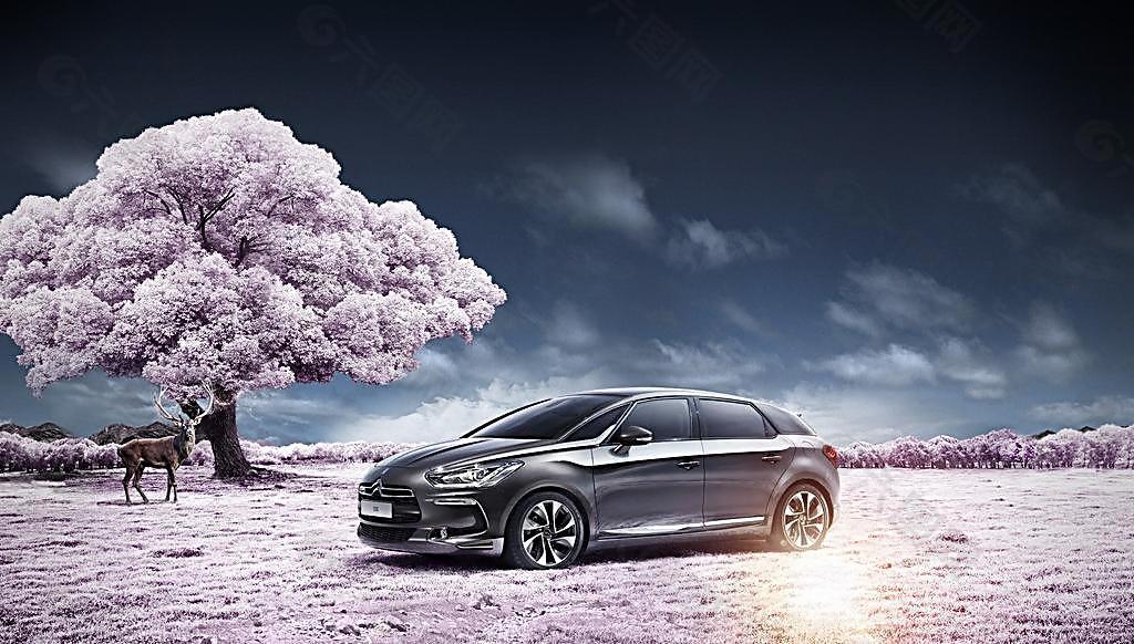 DS5 雪铁龙图片