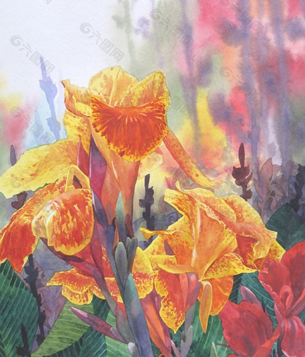 位图 写意花卉 植物 花朵 免费素材
