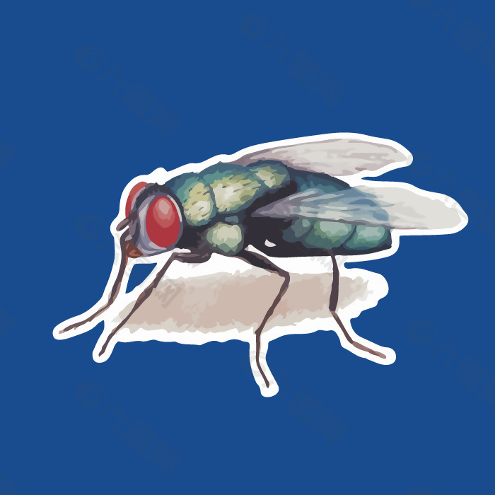 印花矢量图 艺术效果 水彩 昆虫 苍蝇 免费素材