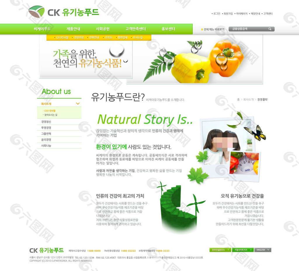 绿色天然蔬菜网页psd模板