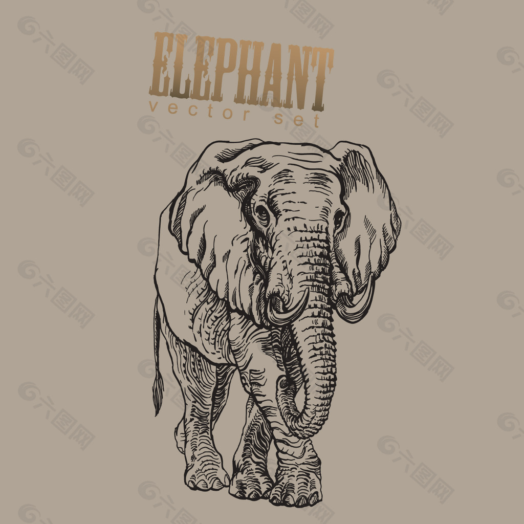 印花矢量图 卡通 动物 大象 文字 免费素材