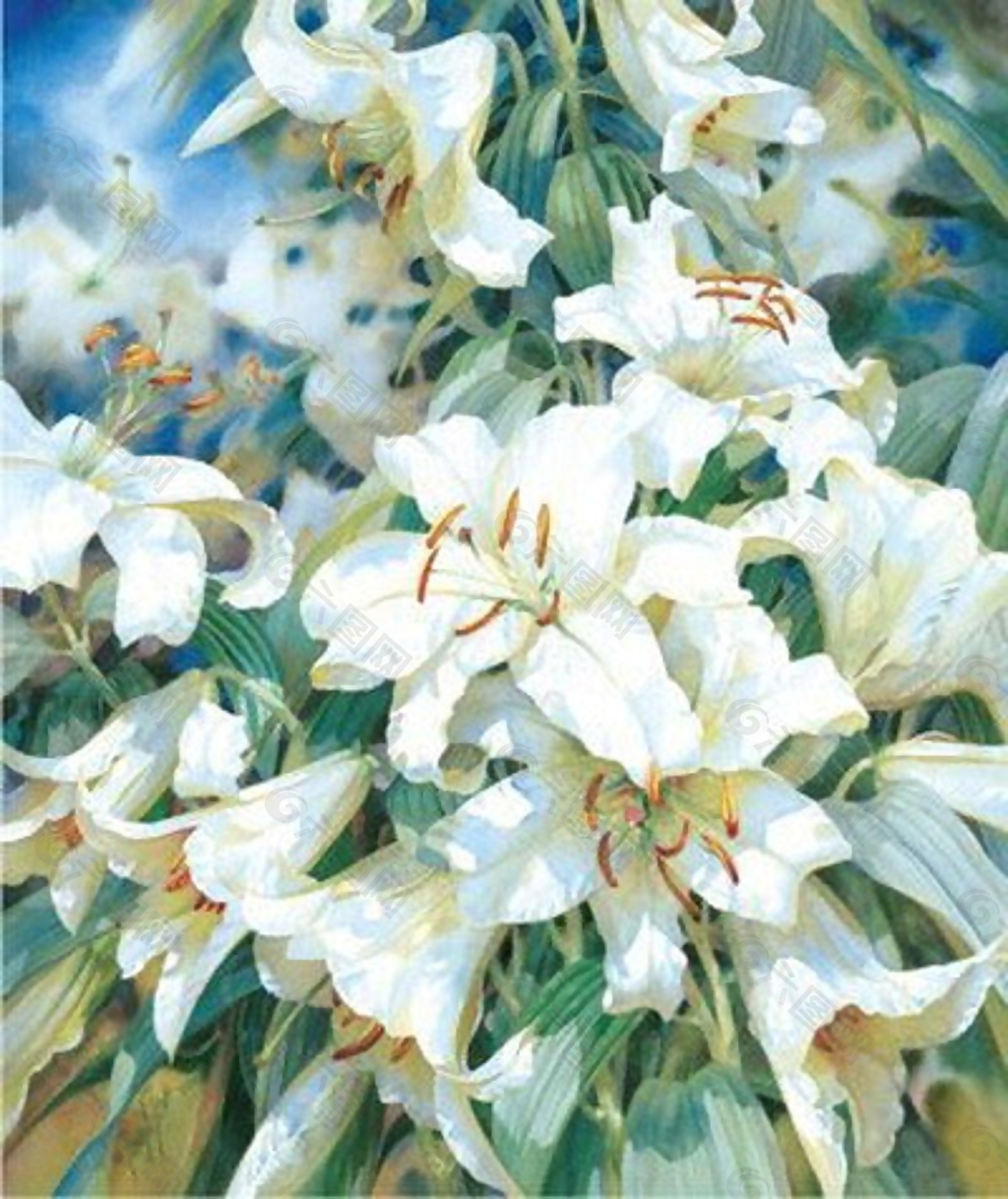 位图 写意花卉 植物 花朵 免费素材