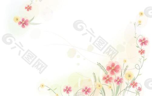 韩国植物装饰边框矢量图01