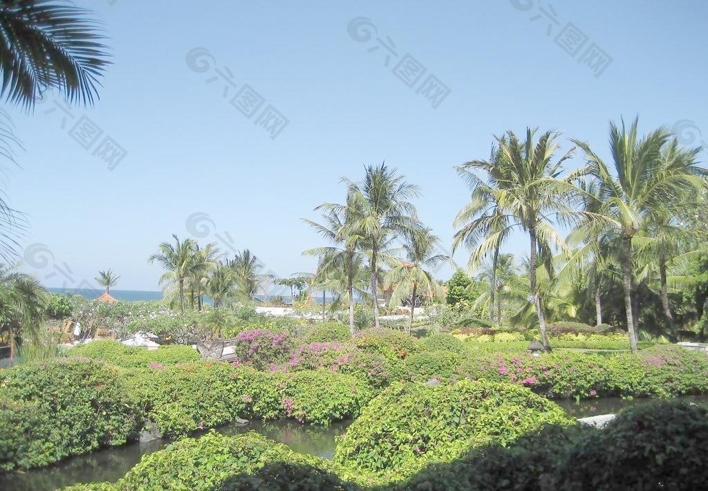 巴厘岛海景图图片