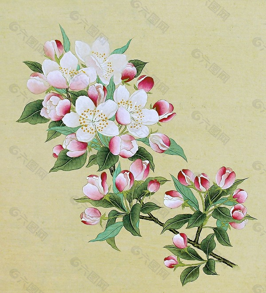位图 植物图案 写意花卉 花朵 梅花 免费素材