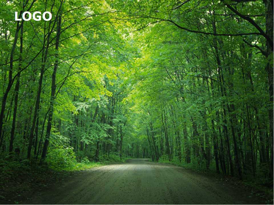 大自然森林背景图片绿色PPT环保模板