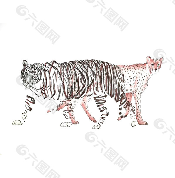 位图 动物 老虎 豹子 条形 免费素材
