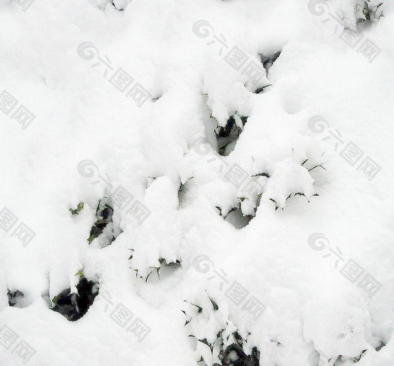 30459_自然材质_冰雪