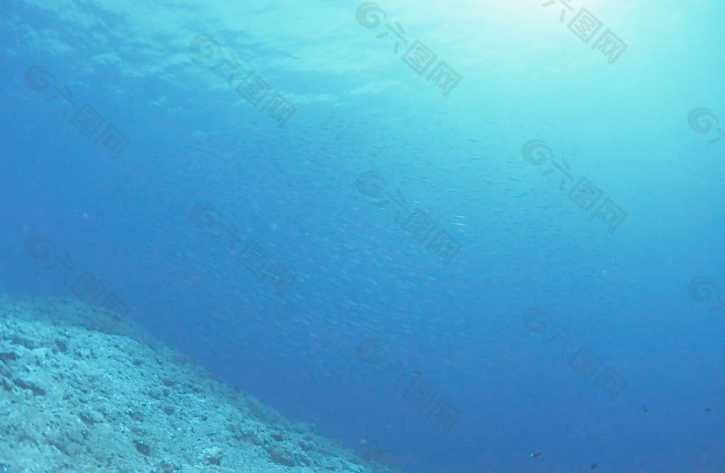 海底深海桌面背景图片背景素材免费下载 图片编号 六图网