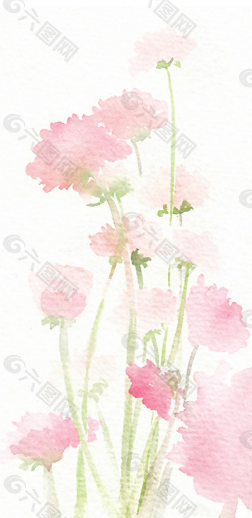 位图 植物图案 写意花卉 花朵 长寿花 免费素材