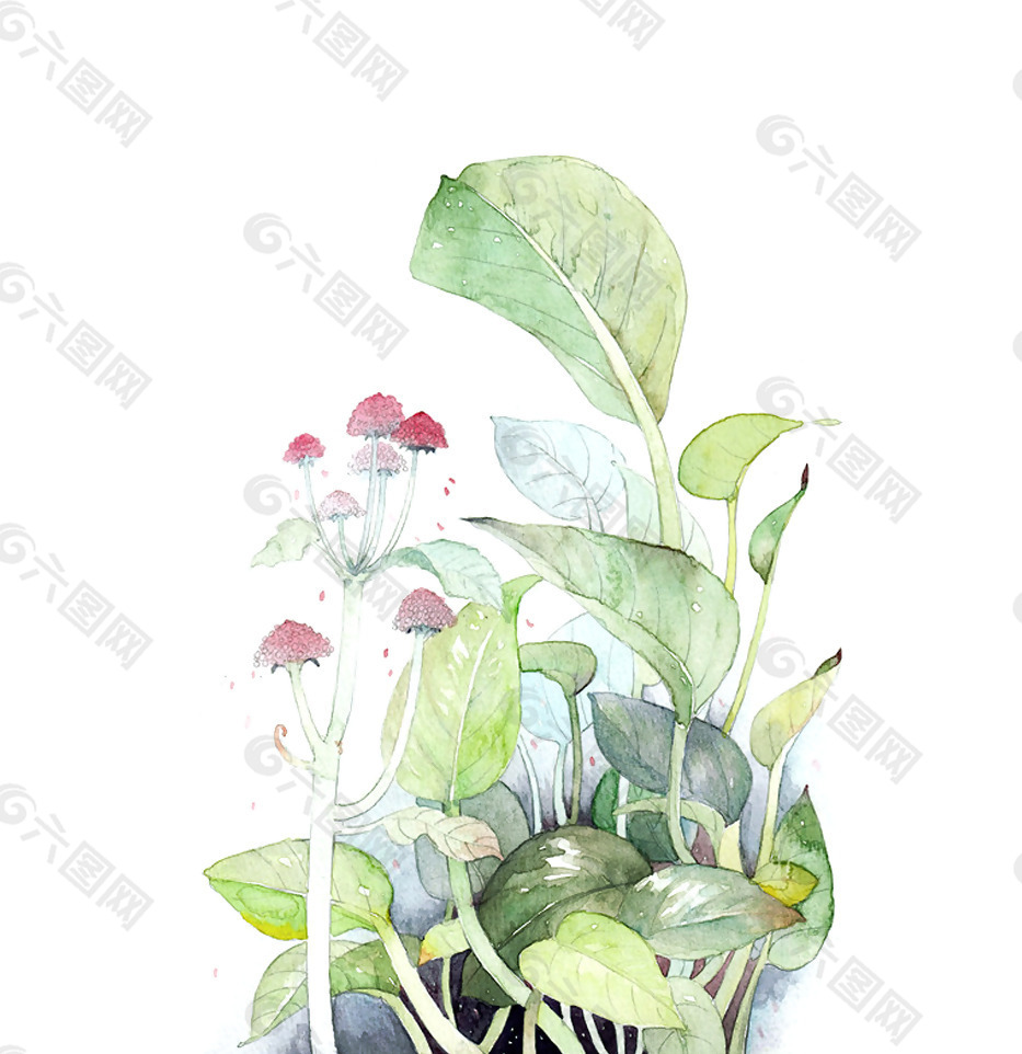 位图 植物图案 写意花卉 花朵 丁香花 免费素材