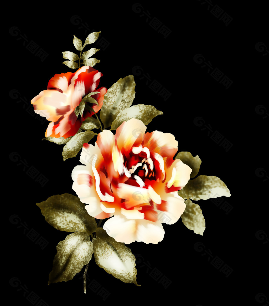 位图 植物图案 写意花卉 花朵 牡丹花 免费素材