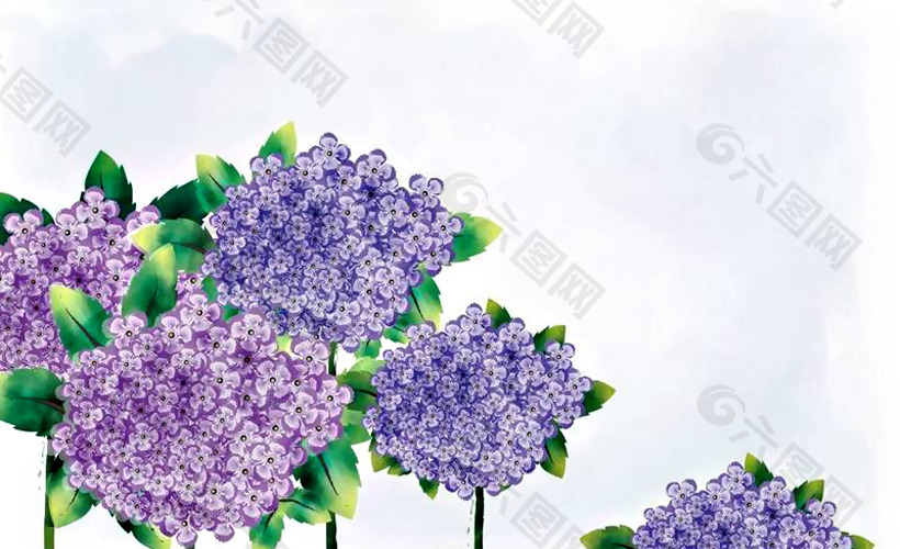 位图 植物图案 写意花卉 花朵 丁香花 免费素材