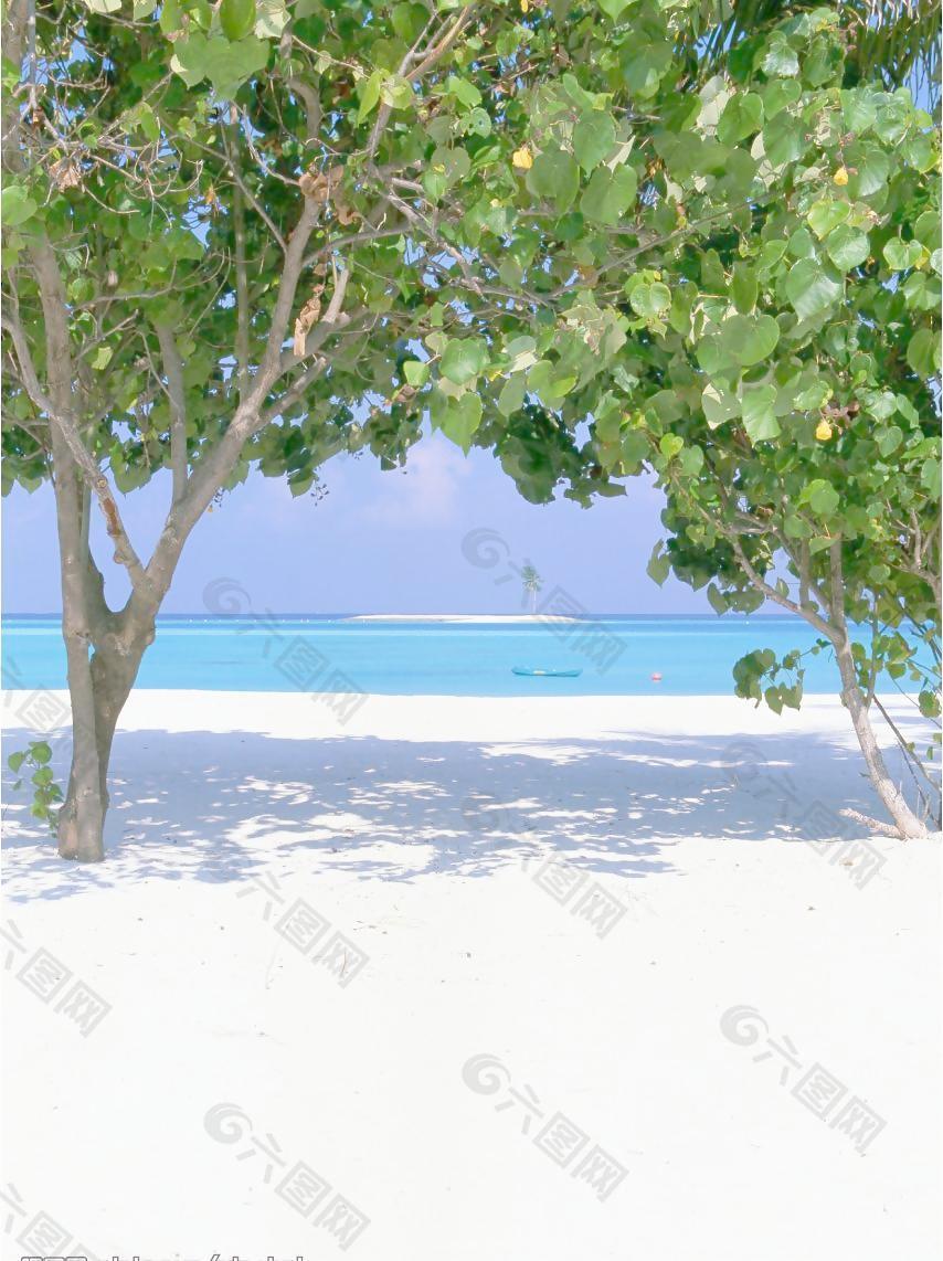 大海沙滩海岛图片