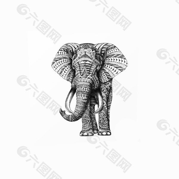 位图 动物 大象 填充花纹 免费素材