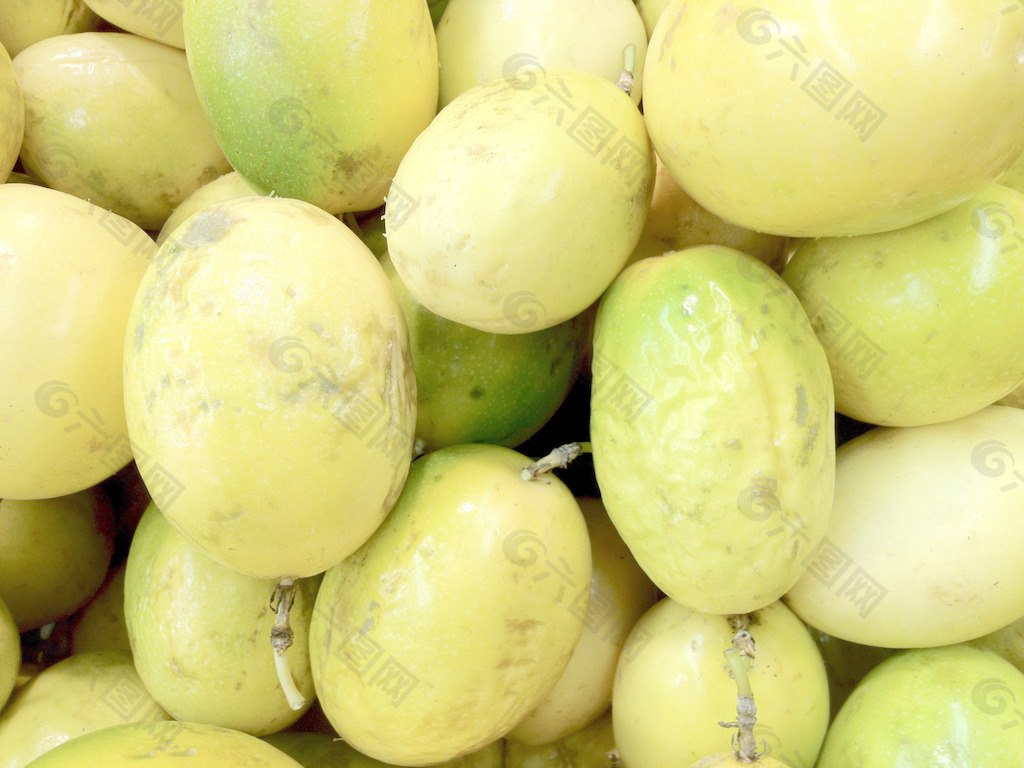 哥伦比亚热情果百香果苗满天星黄金果苗金蜜百香果特色苗当年结果-阿里巴巴