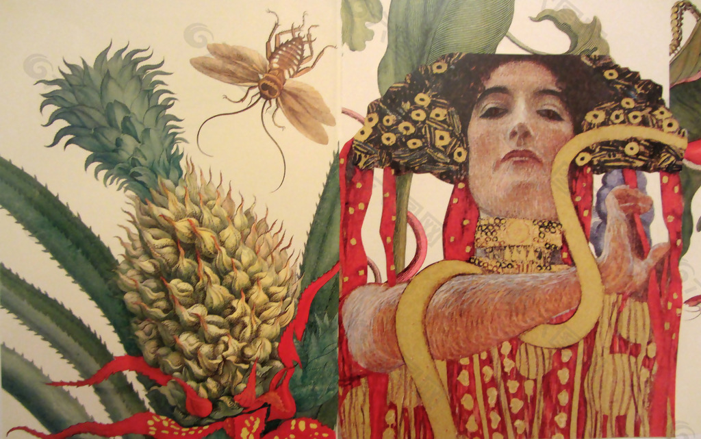 位图 插画 插画师 Kanchan Mahon 免费素材
