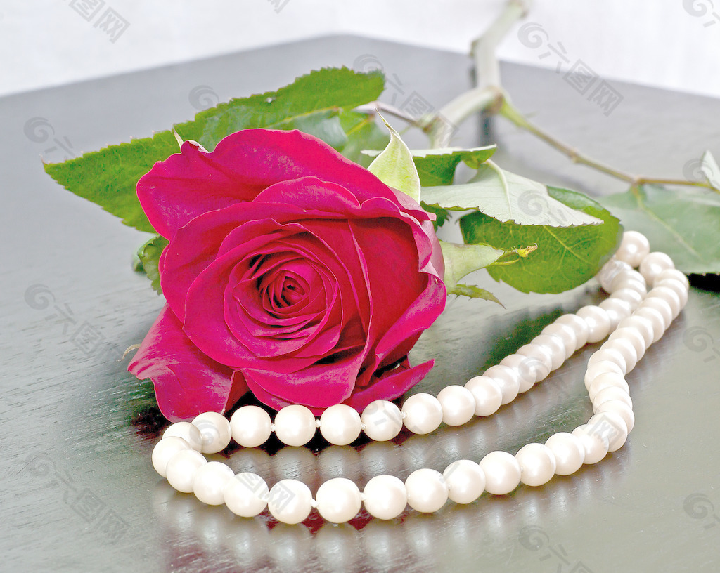 爱的玫瑰和珍珠