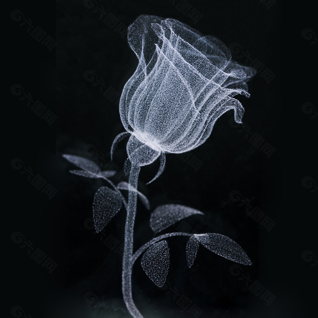 位图 植物图案 花朵 花卉 玫瑰花 免费素材