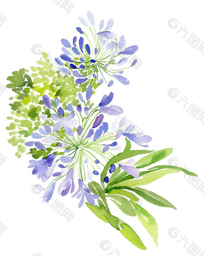 位图 植物图案 写意花卉 花朵 免费素材