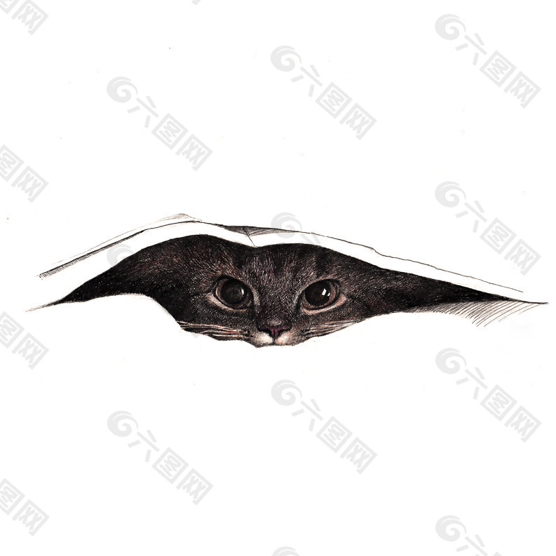 位图 动物图案 猫 手绘 被子 免费素材