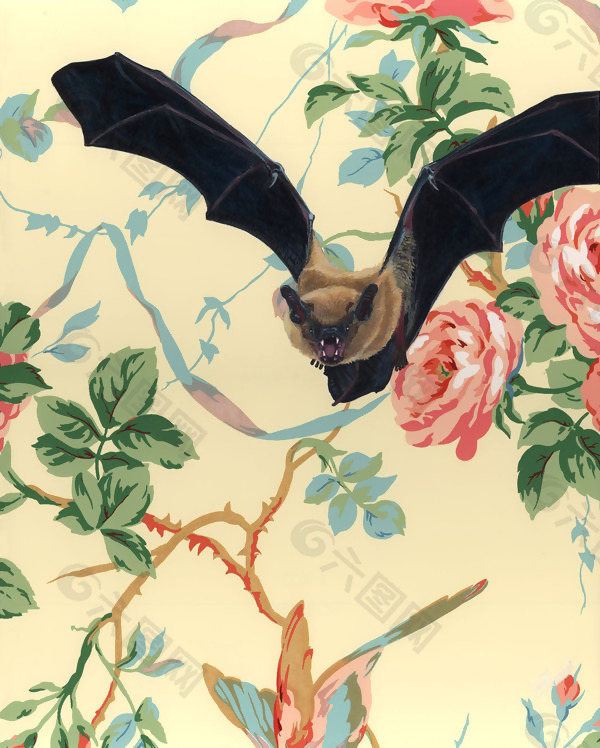 位图 插画 动物 蝙蝠 植物 免费素材