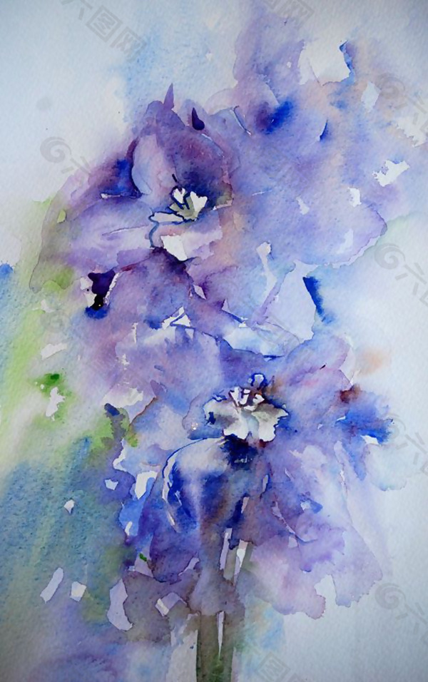 位图 植物图案 写意花卉 花朵 免费素材