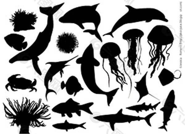 各种海豚鱼类矢量素材