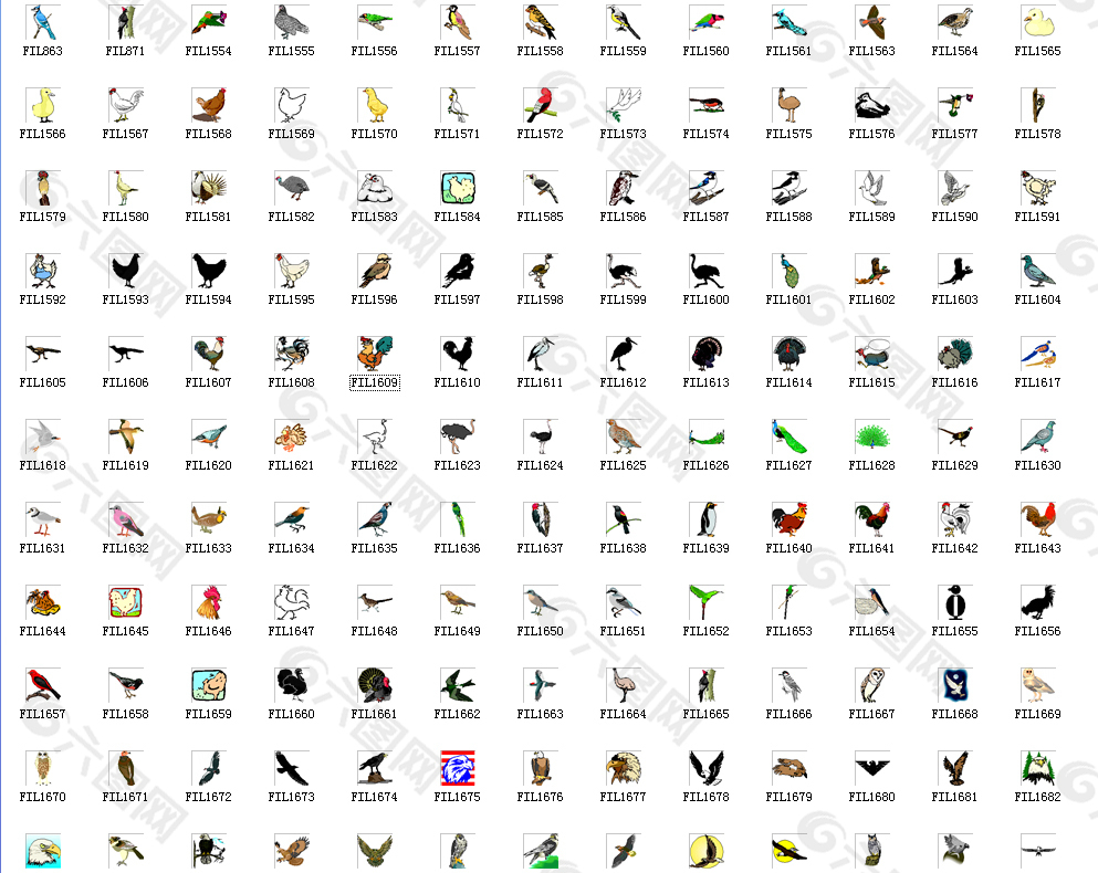 345种鸟类禽类矢量图