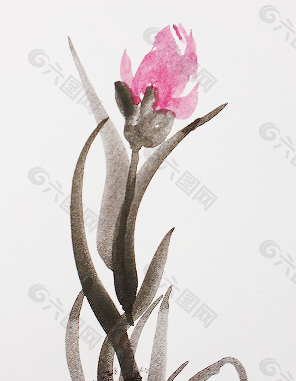 位图 植物 写意花卉 花朵 免费素材