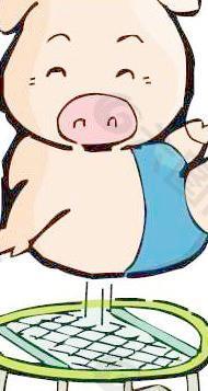卡通生肖猪年素材-可爱猪矢量图16