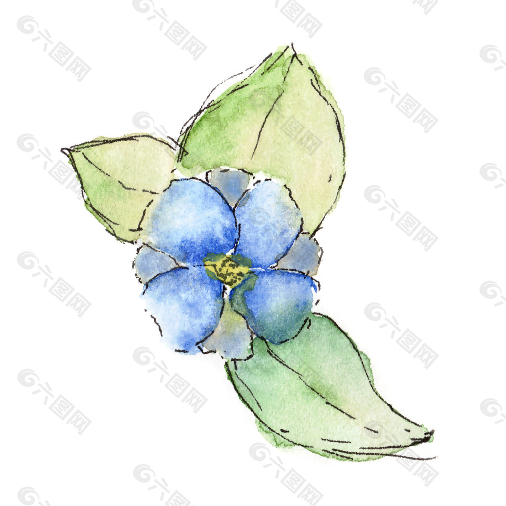 位图 植物 写意花卉 花朵 免费素材