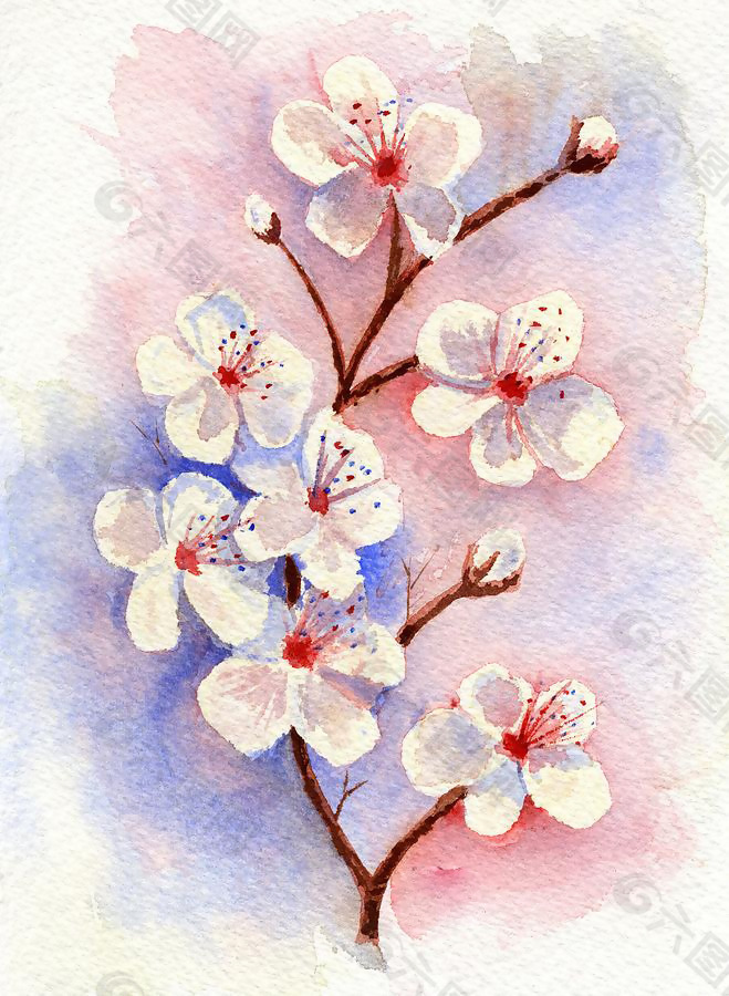 位图 植物 写意花卉 花朵 梅花 免费素材