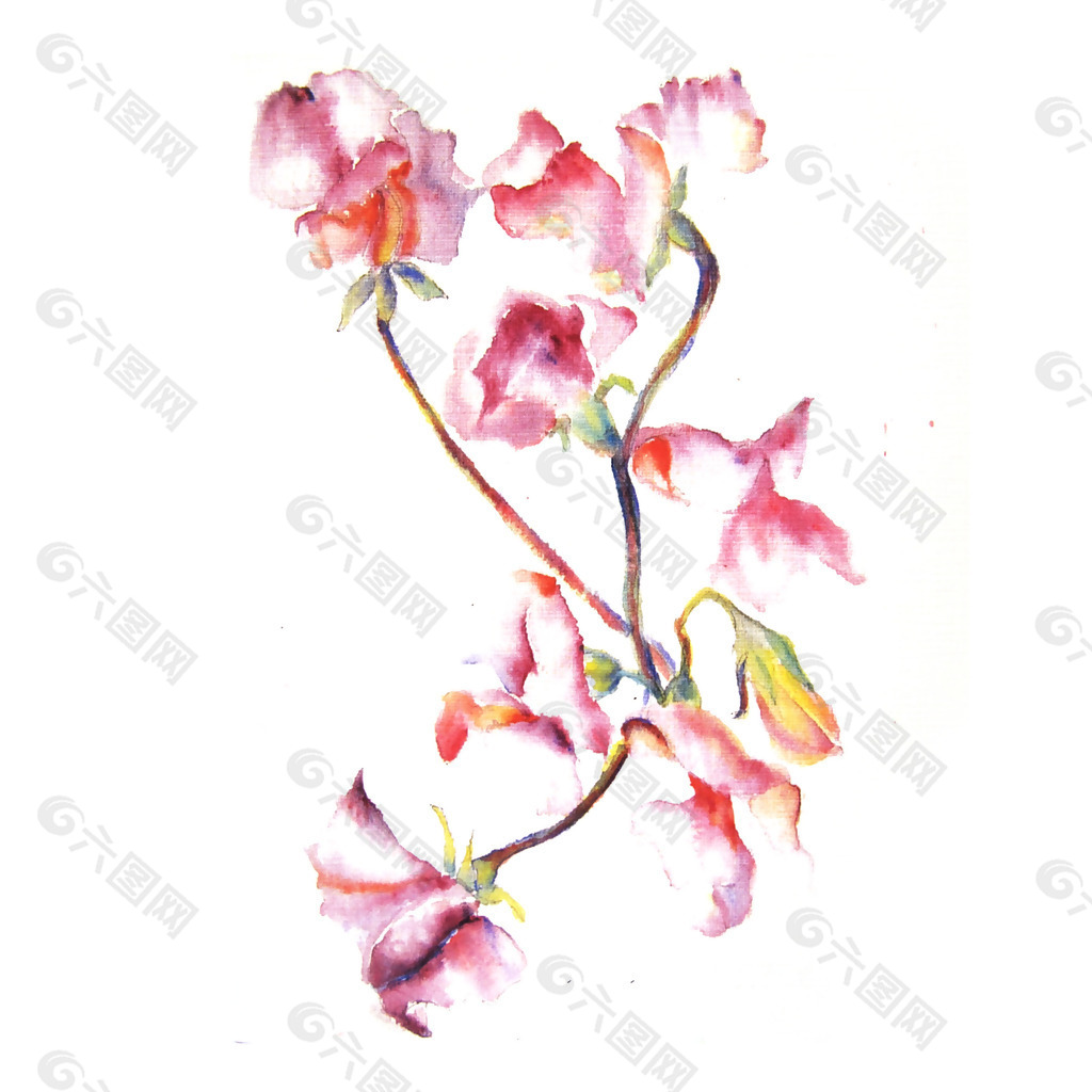位图 植物 写意花卉 花朵 免费素材