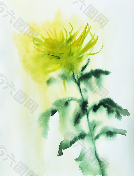 位图 植物 写意花卉 花朵 菊花 免费素材
