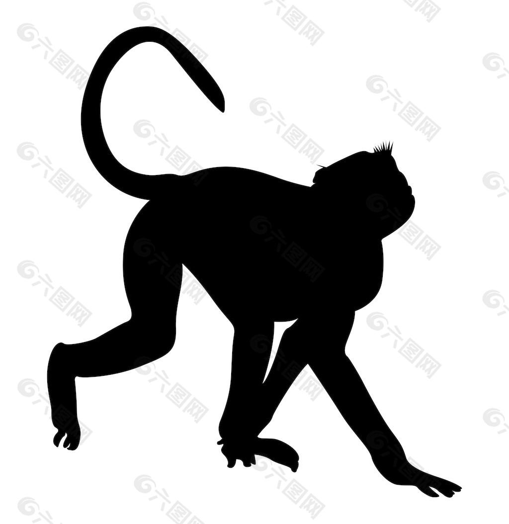 猴形