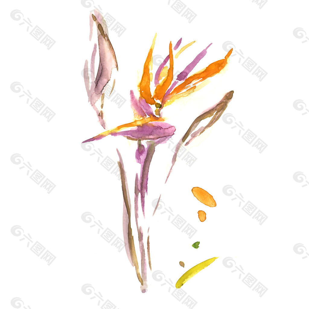 位图 植物 写意花卉 花朵 天堂鸟 免费素材