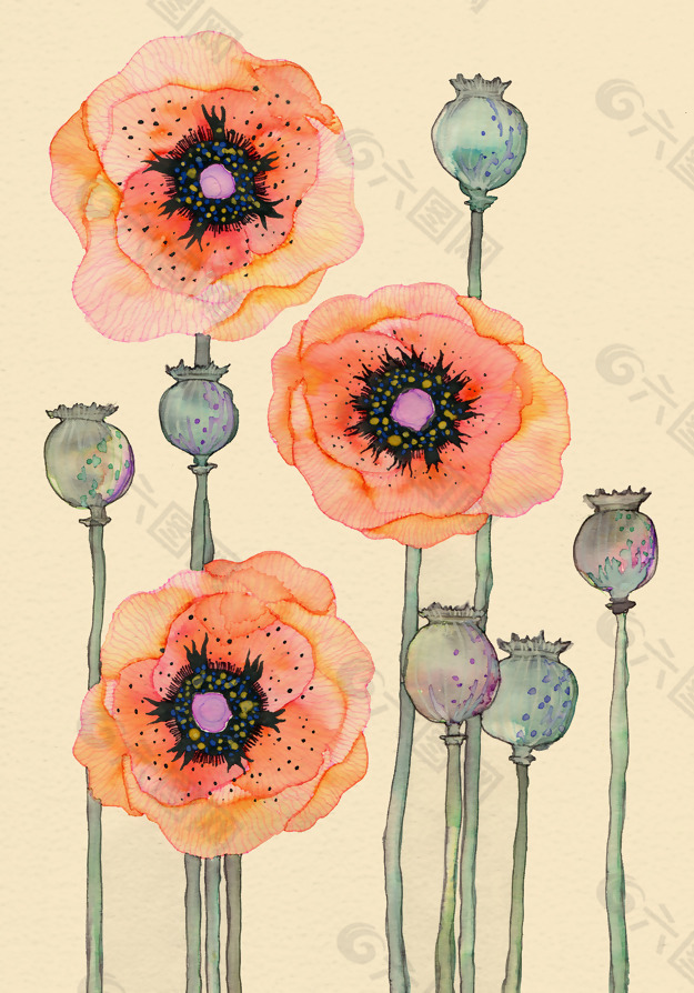 位图 植物 写意花卉 花朵 免费素材