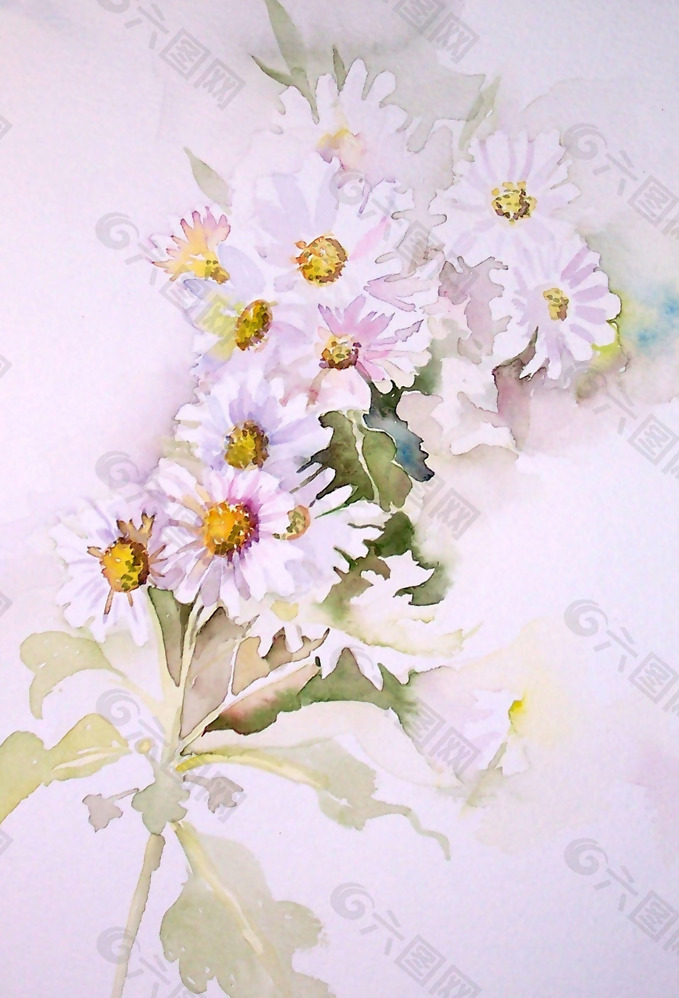 位图 植物 写意花卉 花朵 雏菊 免费素材