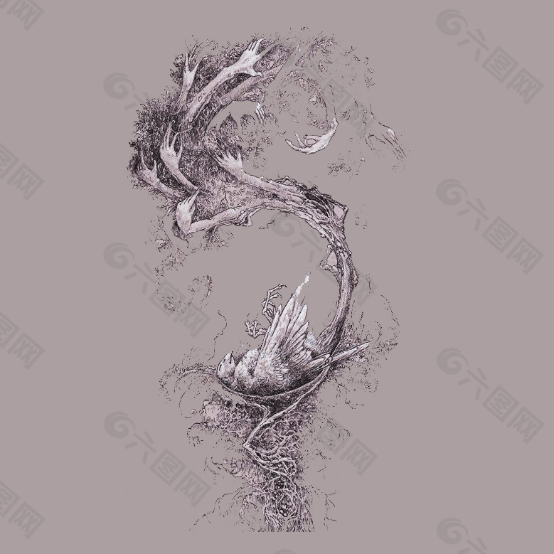 位图 插画 植物插画 插画师 Socar 免费素材