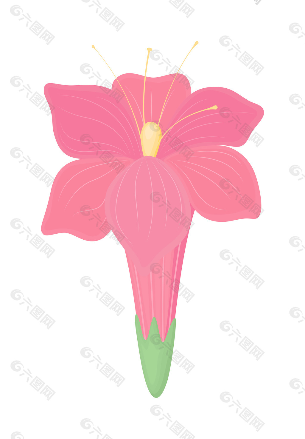 粉红色雏菊设计节