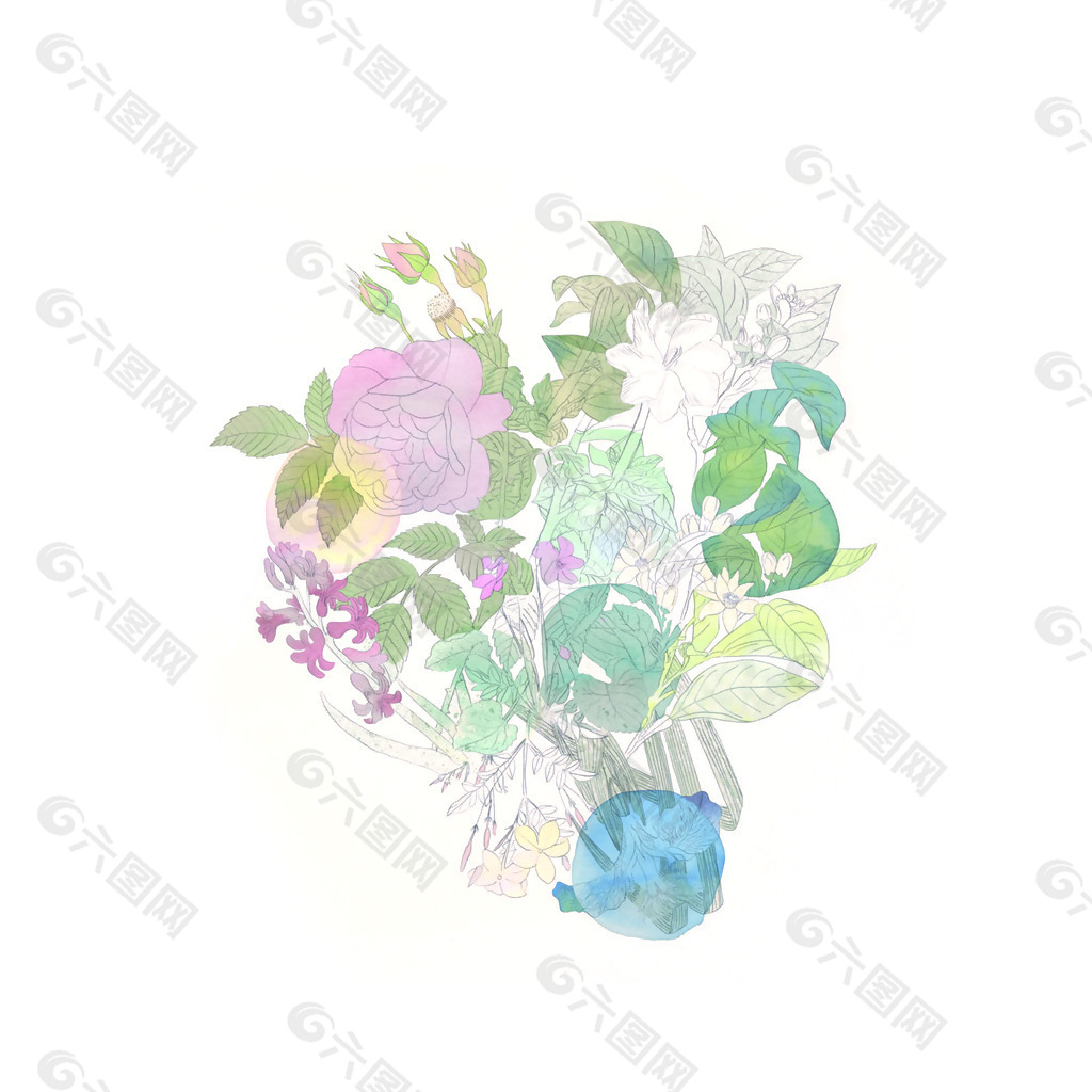 位图 插画 植物插画 插画师 Ana 免费素材