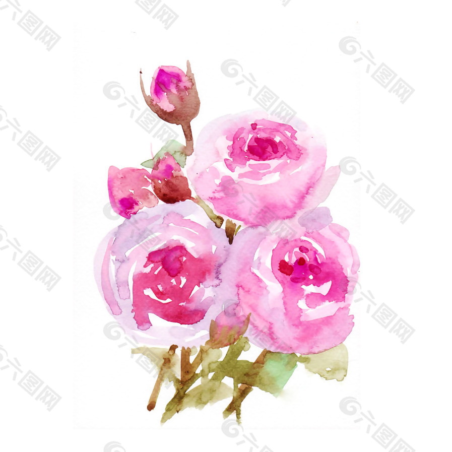 位图 植物 写意花卉 花朵 玫瑰 免费素材